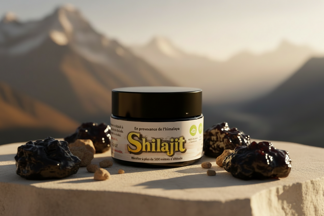 Le Guide Ultime du Shilajit en Résine : Bienfaits, Utilisation et Dangers
