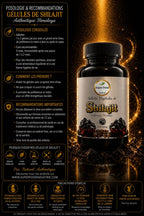 Shilajit Pur de l'Himalaya – 60 Gélules | Qualité Premium & Naturelle