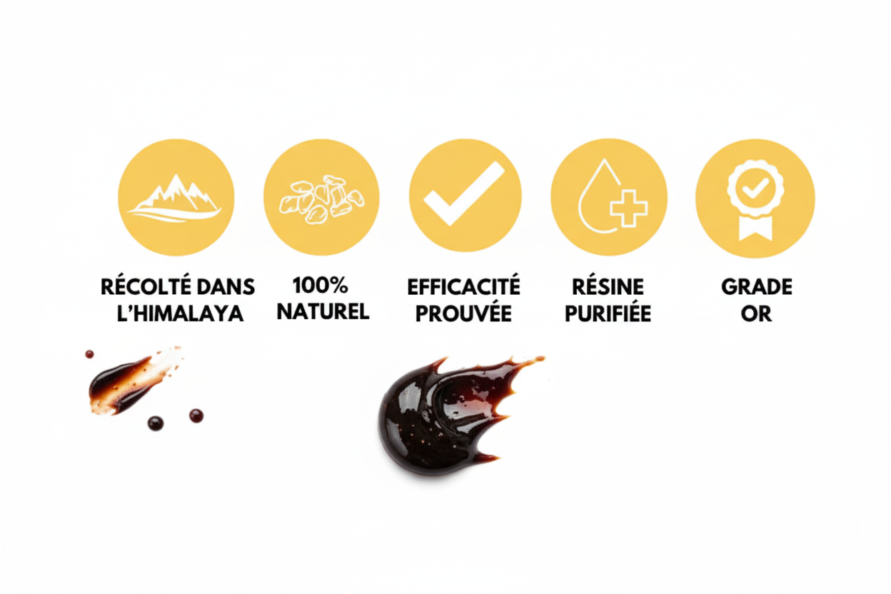 Résine Shilajit "Grade Or" 30g