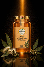 Miel d'Eucalyptus de Madagascar – Signature Boisée par Superfoodindustrie (250g)