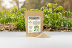 Poudre d'Ashwagandha Bio (125g)